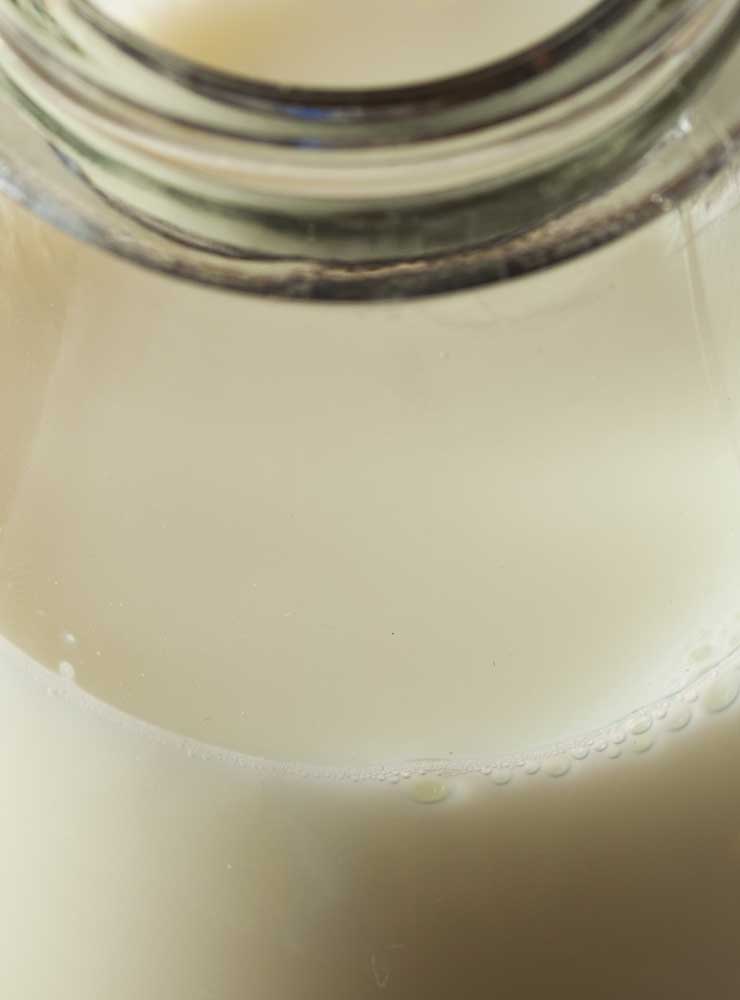 lait cru entier biologique